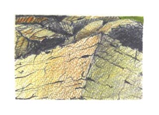 © Canizaro Art 2003