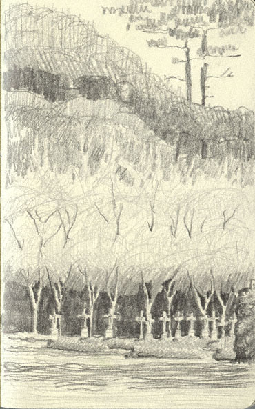 Canizaro Pencil Drawing