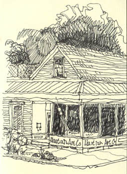 Canizaro Ink Drawing